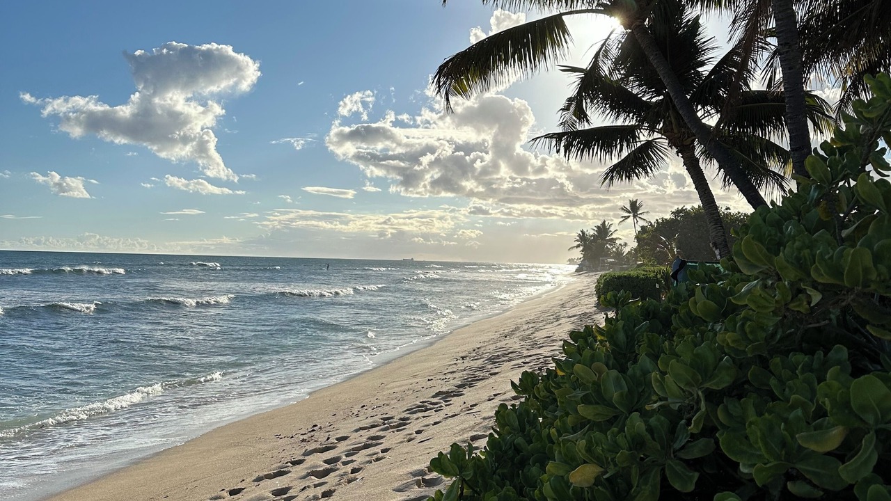 Photo of Others in Ewa Beach