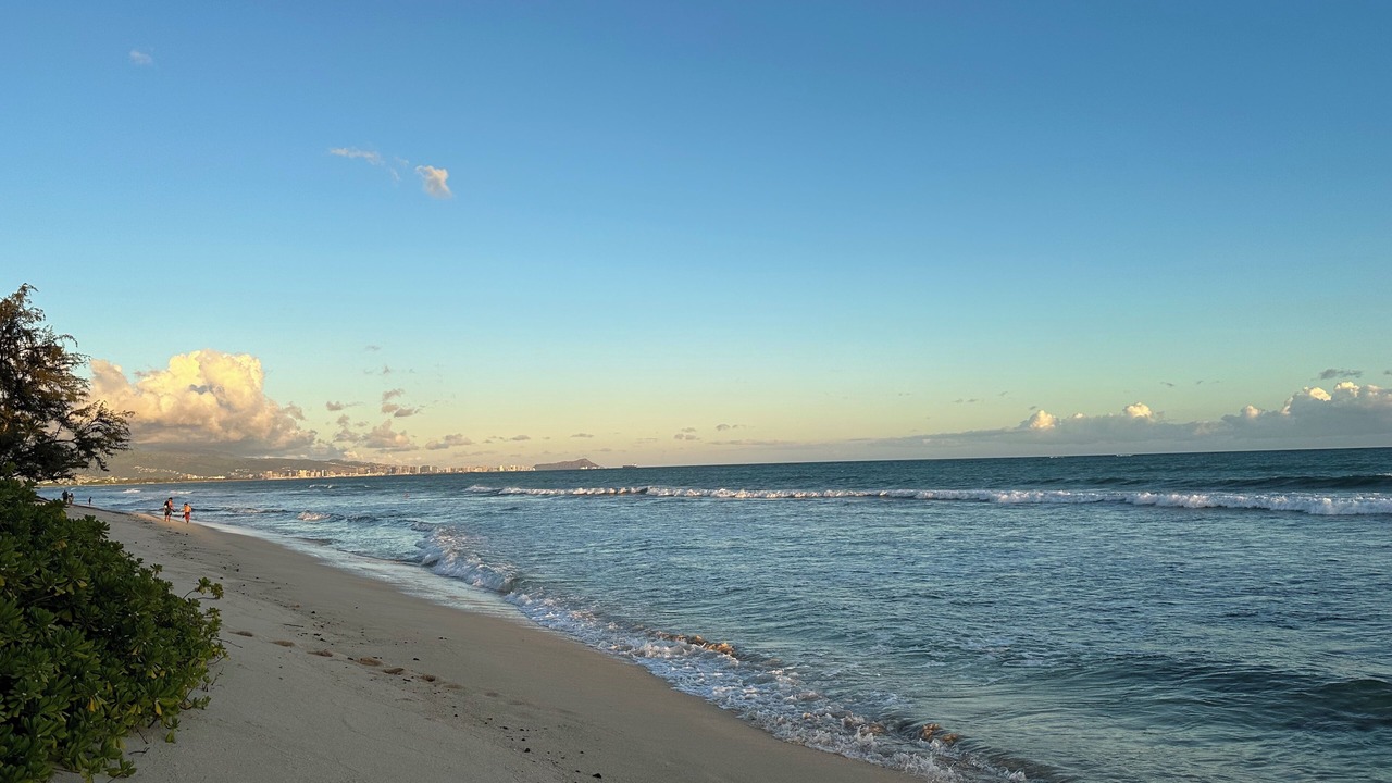 Photo of Others in Ewa Beach
