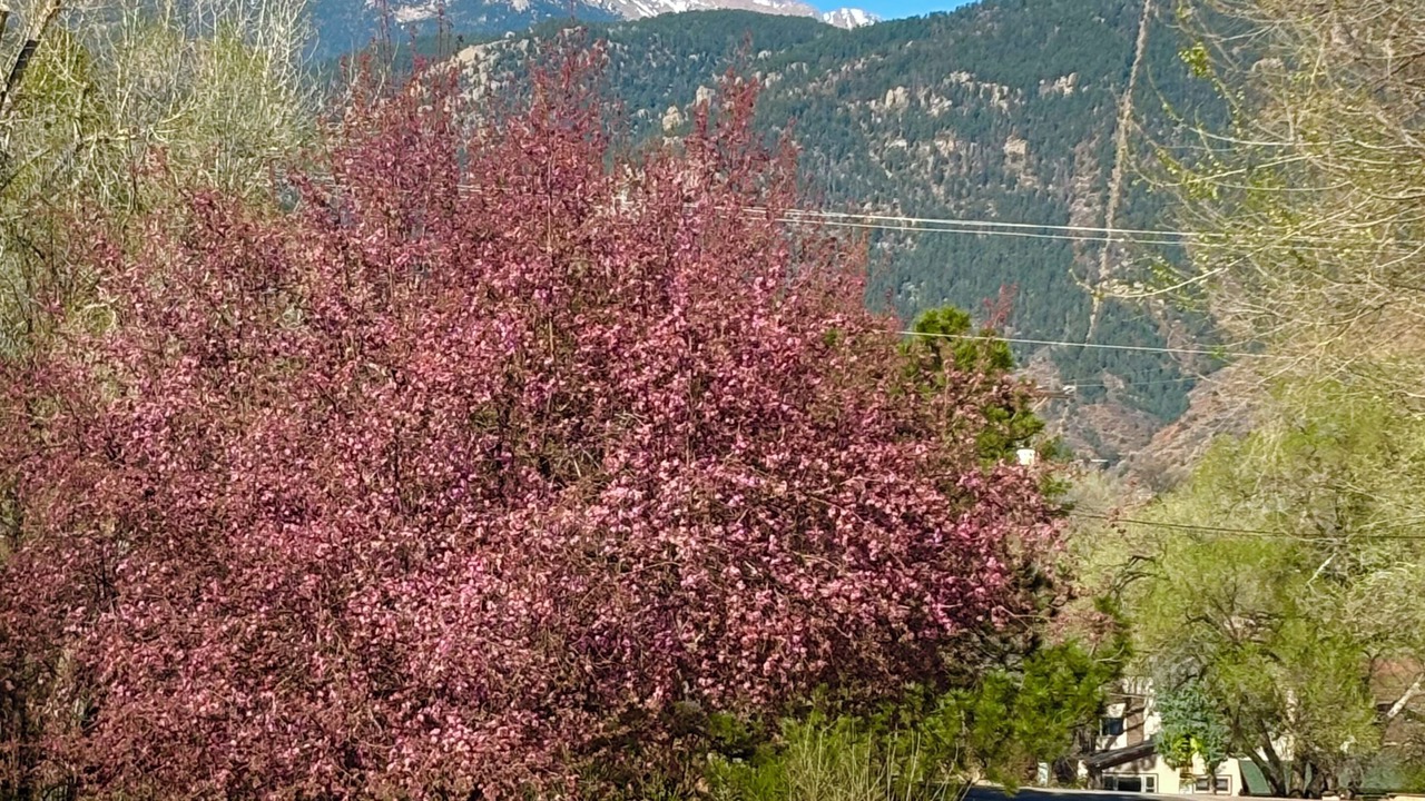 Photo of Others in Manitou Springs