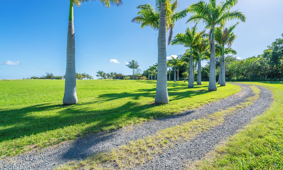 Photo of Outdoor in Kapaau
