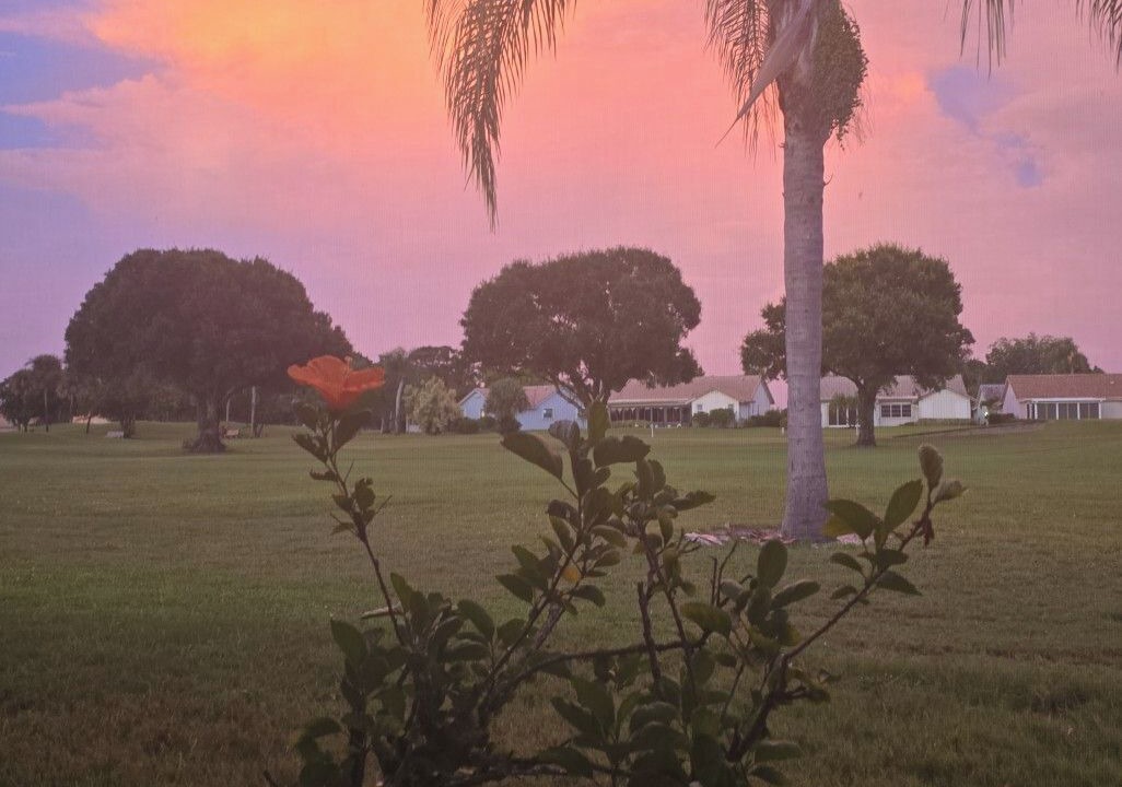 Photo of Others in Stuart