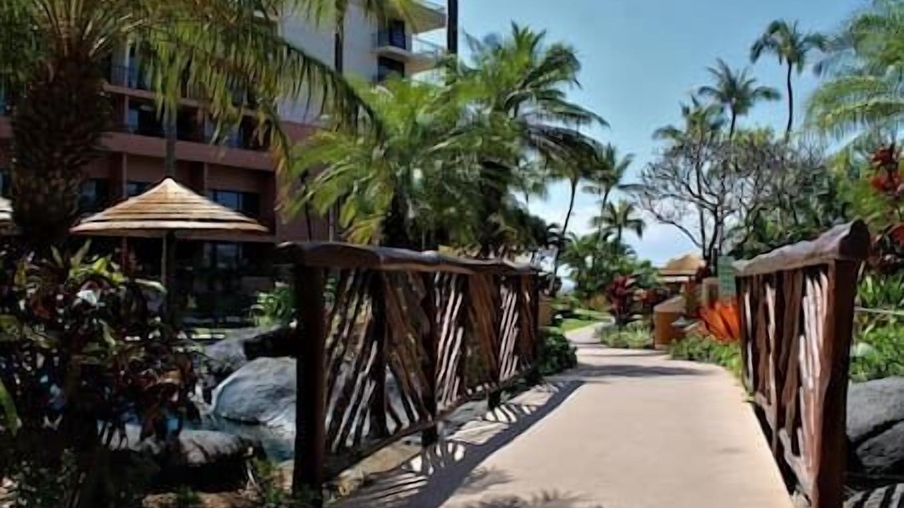 Photo of Outdoor in Lahaina