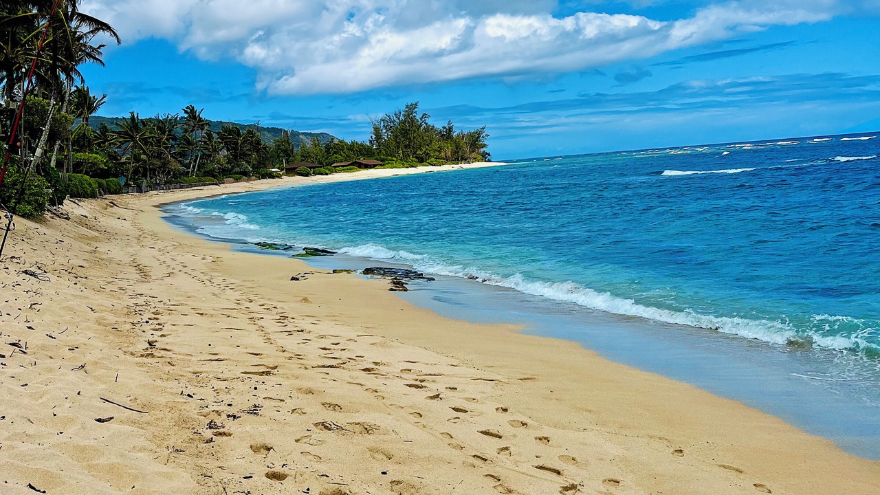 Photo of Others in Mokuleia