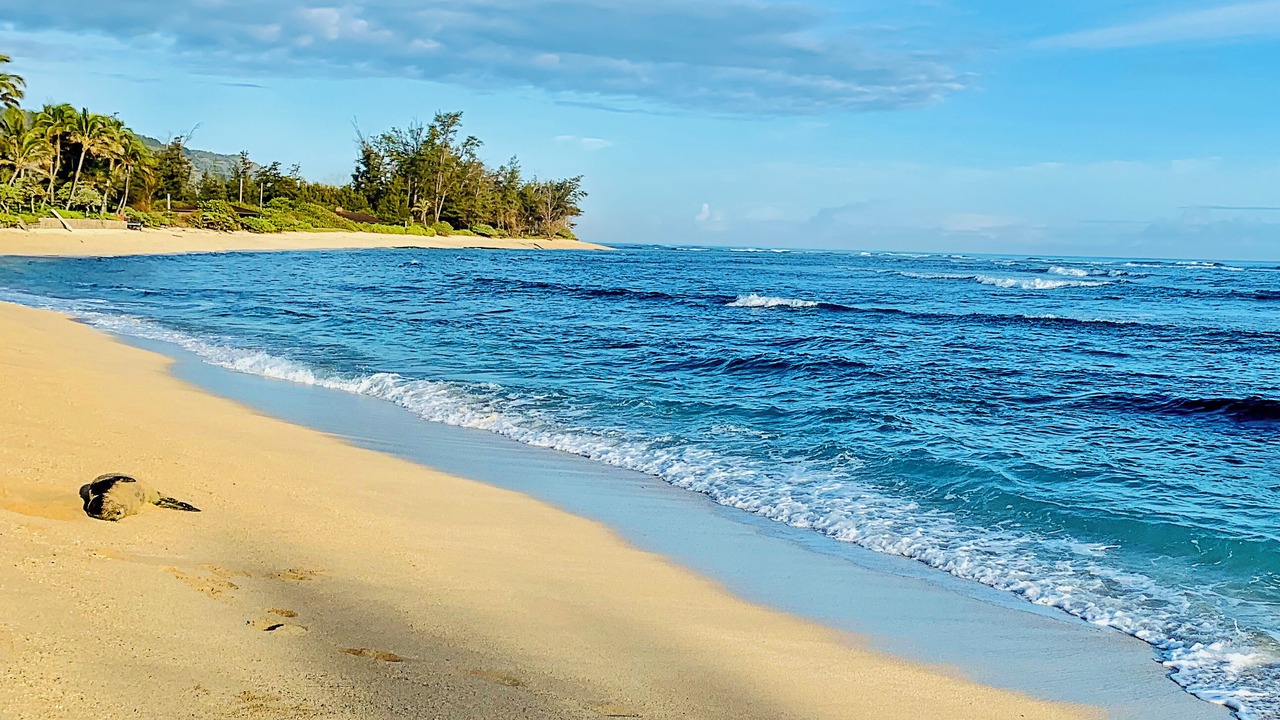 Photo of Others in Mokuleia