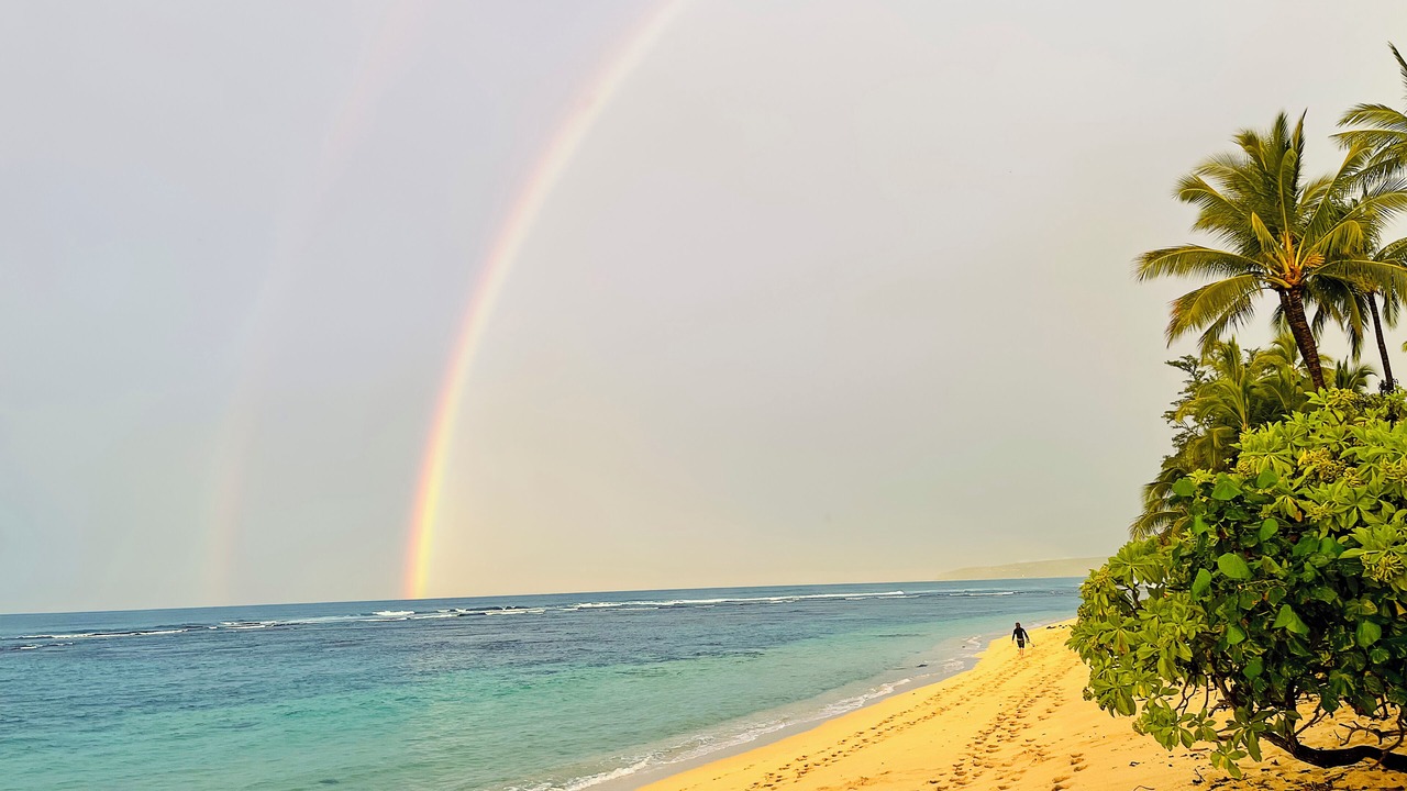 Photo of Others in Mokuleia