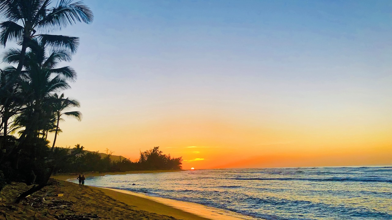 Photo of Others in Mokuleia