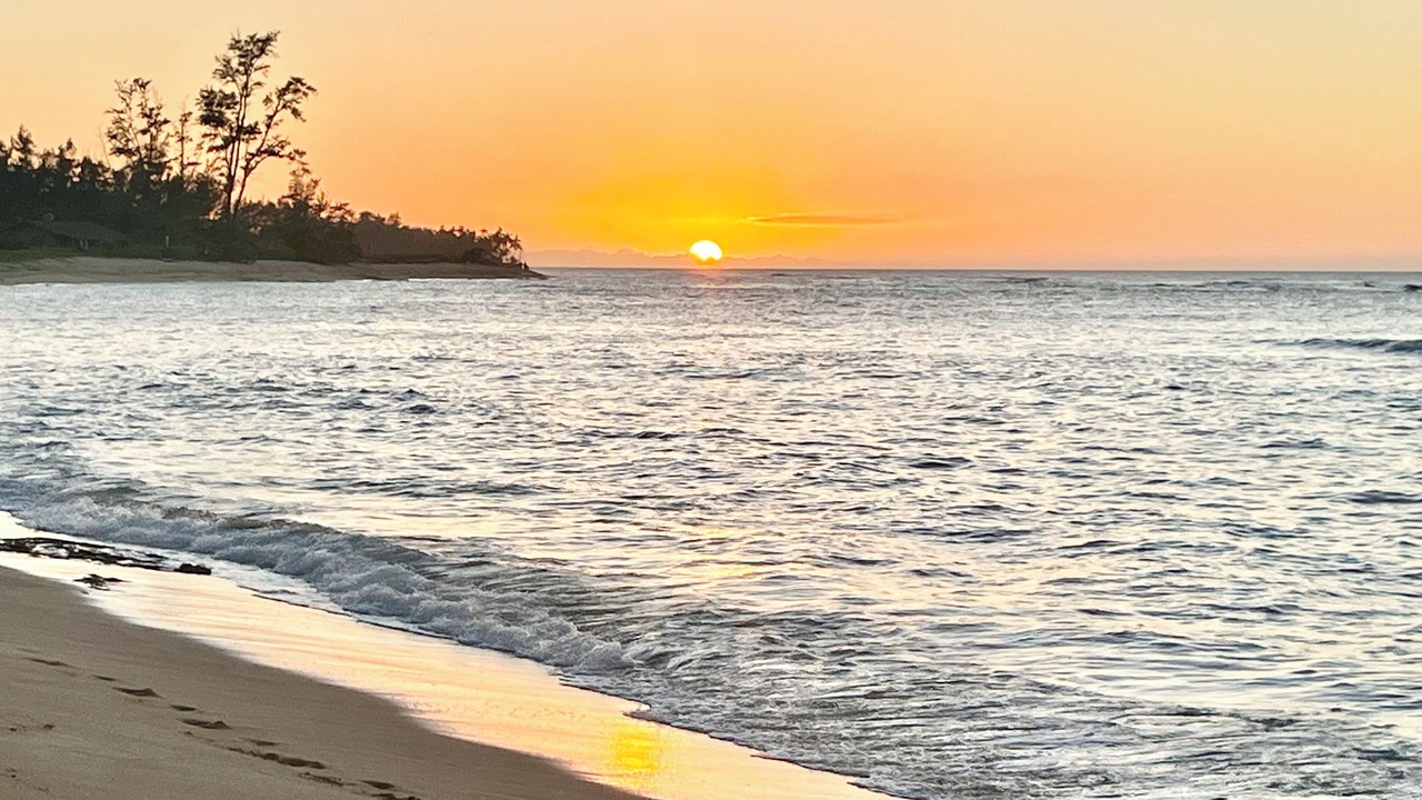 Photo of Others in Mokuleia