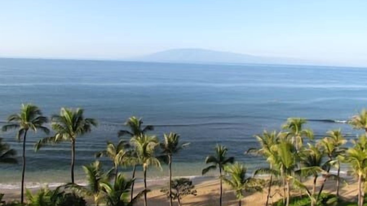 Photo of Others in Lahaina