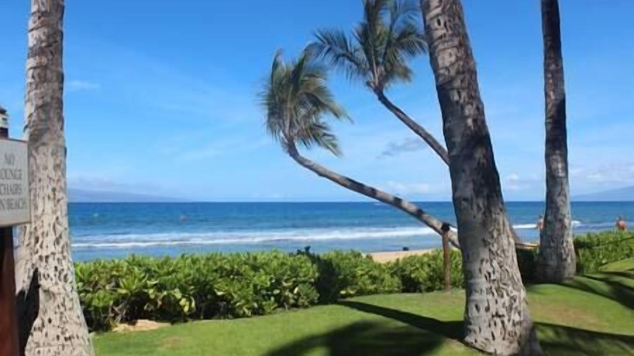 Photo of Outdoor in Lahaina
