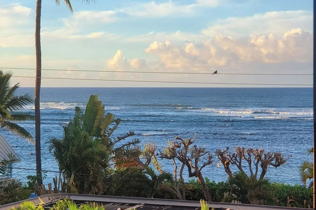 Photo of Outdoor in Mokuleia