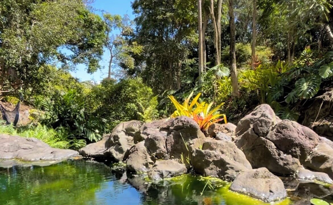 Photo of Others in Kukuihaele