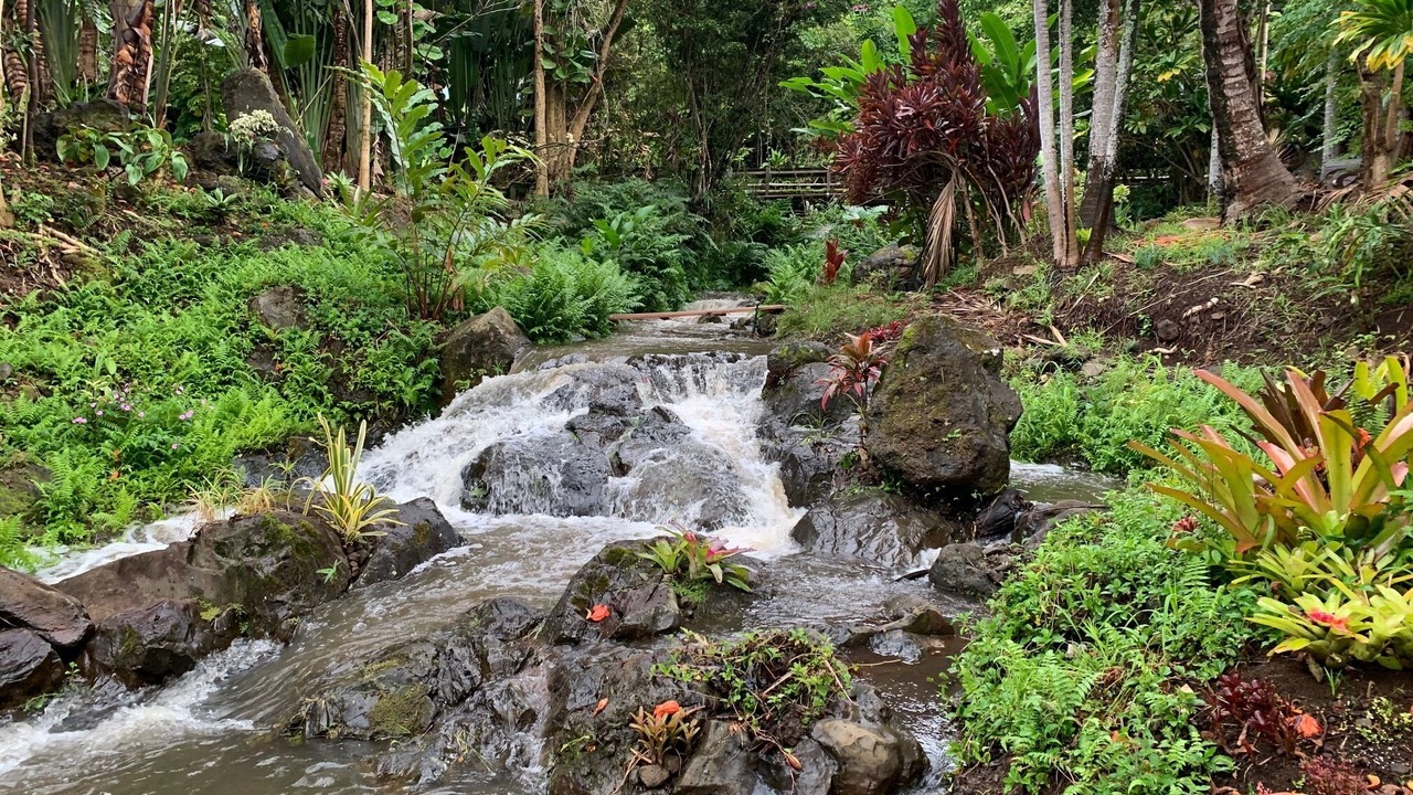 Photo of Outdoor in Kukuihaele