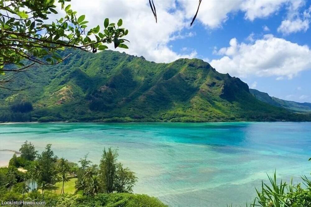 Photo of Others in Kaneohe