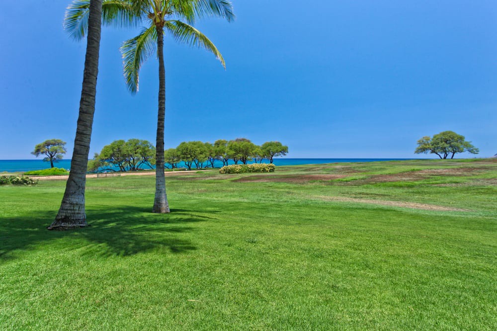 Photo of Others in Ko Olina