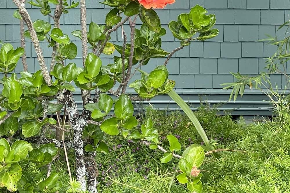 Photo of Others in Makawao