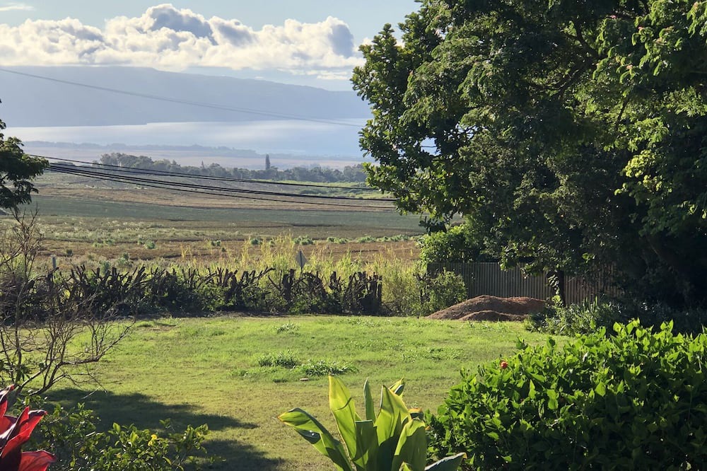 Photo of Others in Makawao