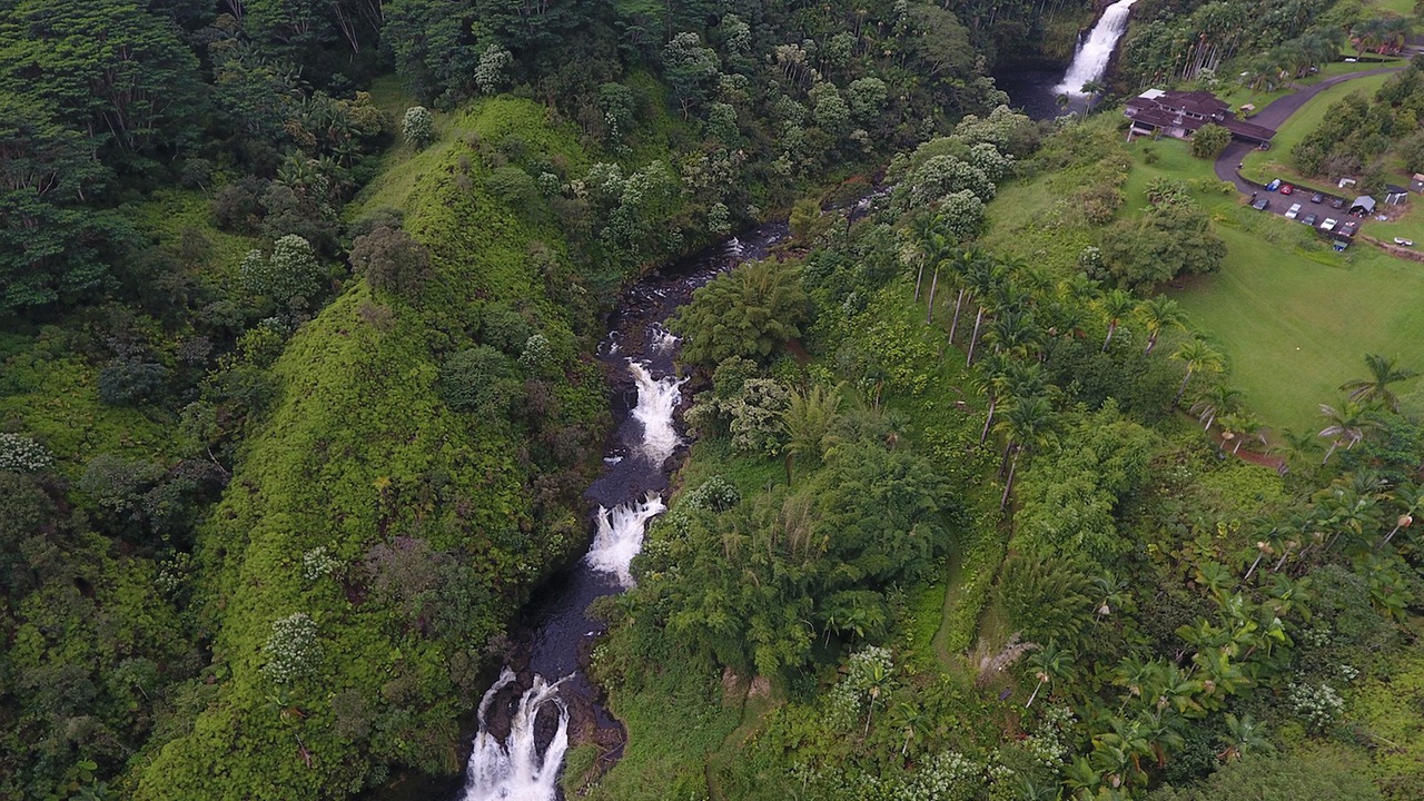 Photo of Outdoor in Hilo