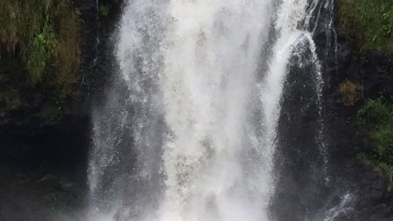 Photo of Others in Hilo