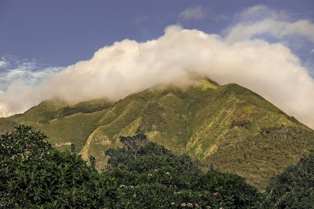 Photo of Others in Wailuku