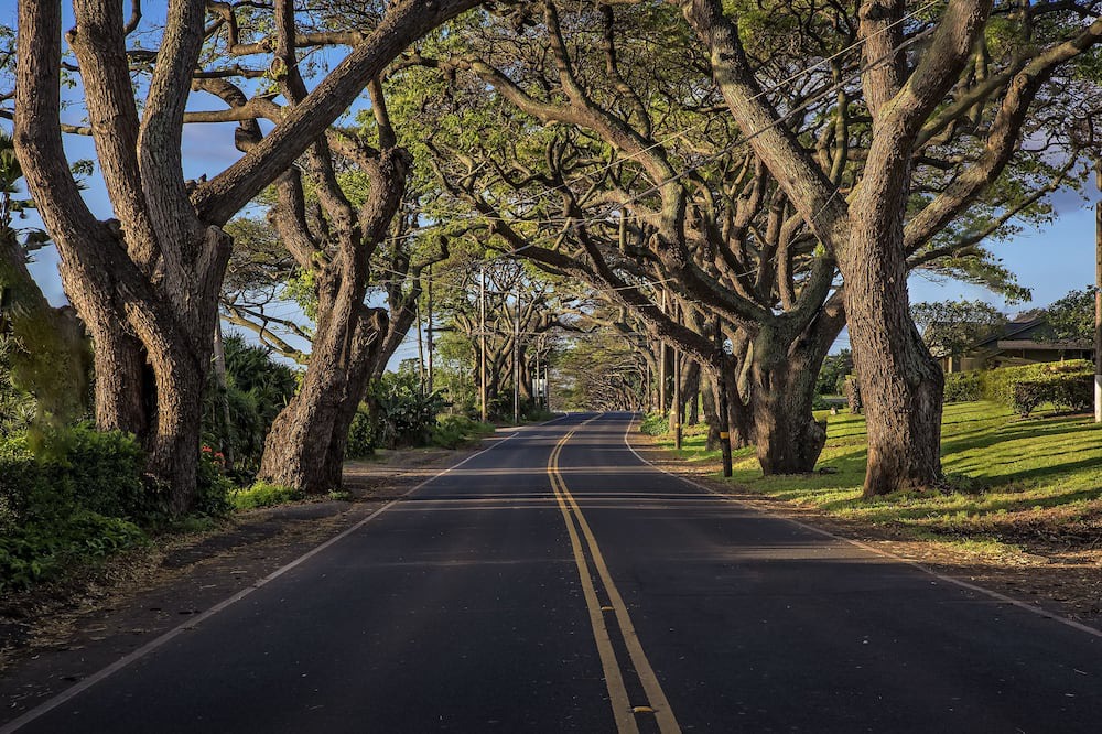 Photo of Others in Wailuku
