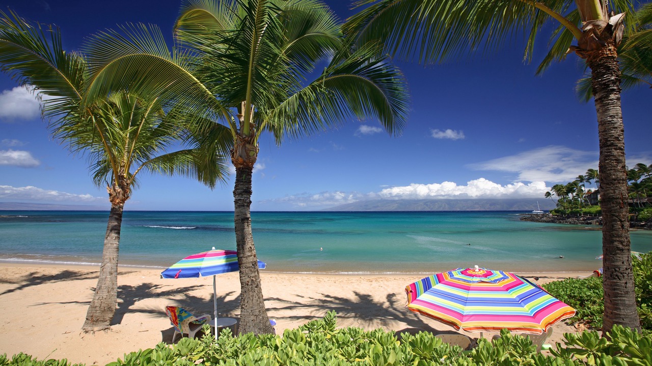 Photo of Outdoor in Napili
