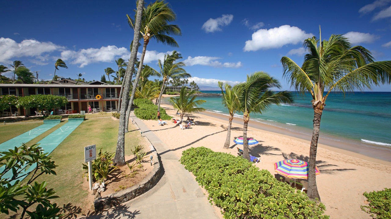 Photo of Others in Napili