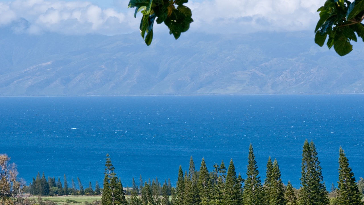 Photo of Others in Napili