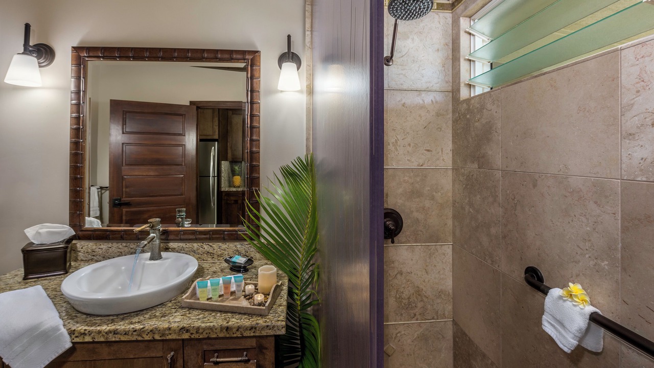 Photo of Bathroom in Napili