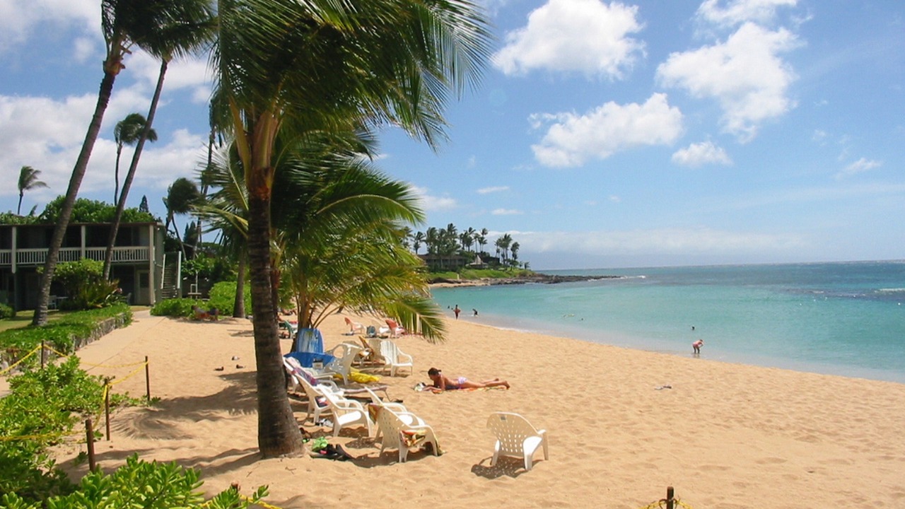 Photo of Others in Napili