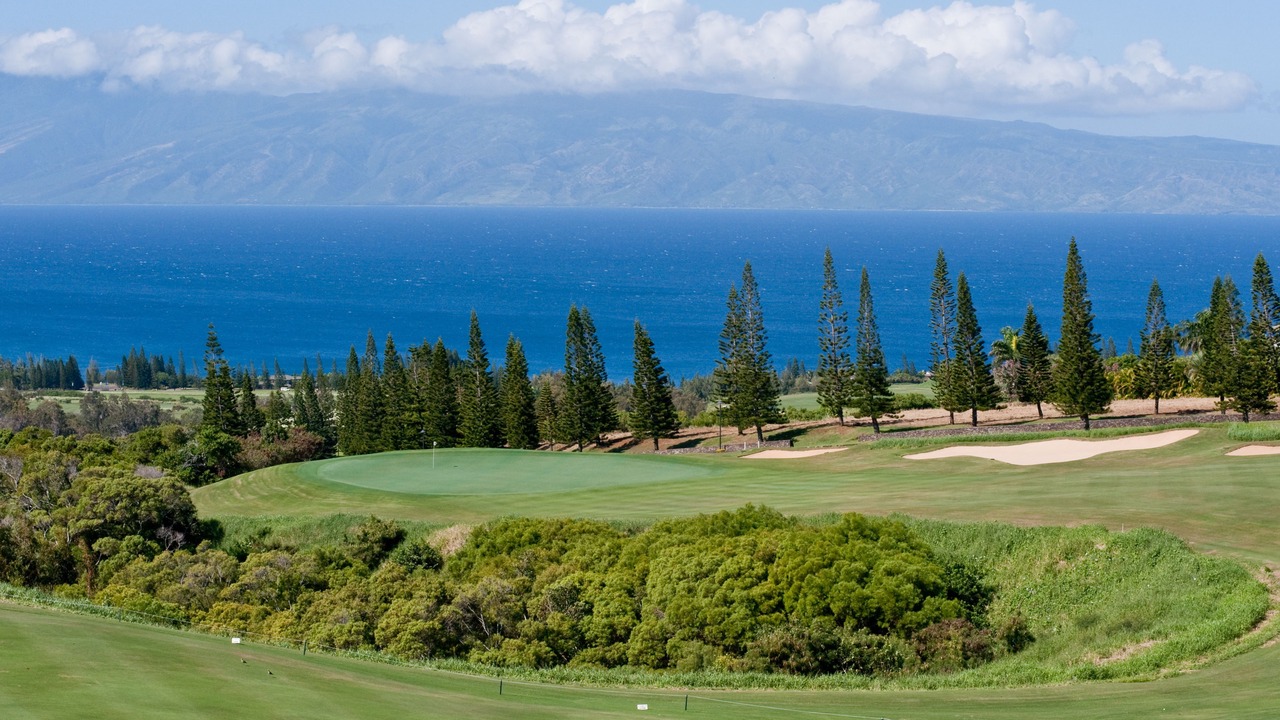 Photo of Others in Napili
