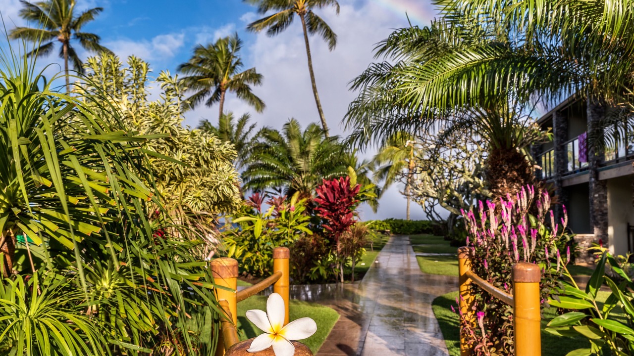 Photo of Outdoor in Napili