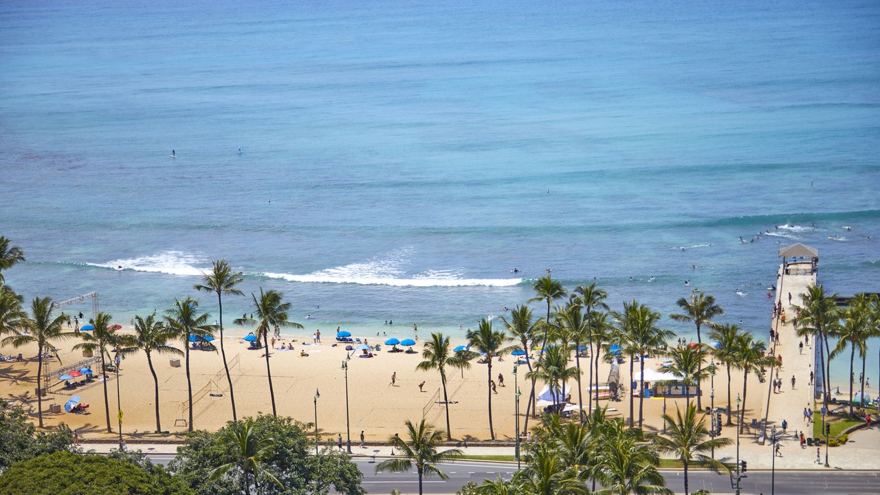 Photo of Others in Diamond Head - Kapahulu - St. Louis