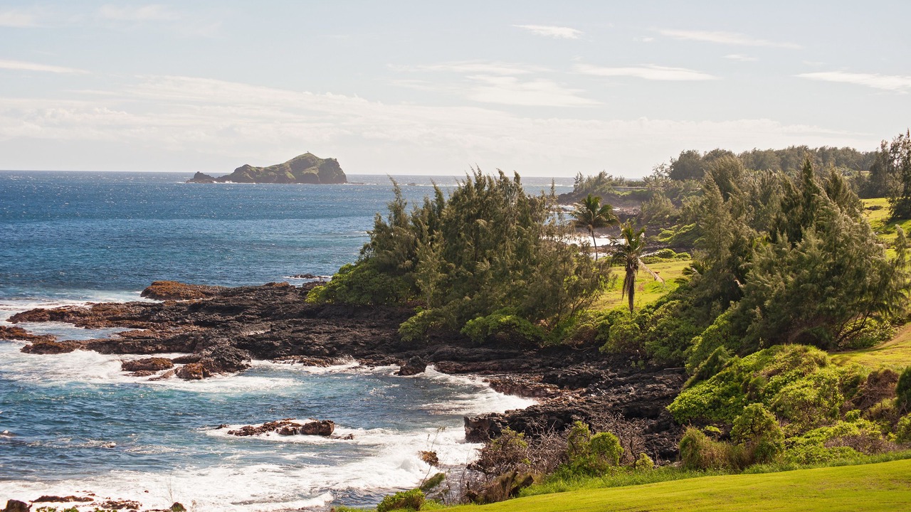 Photo of Others in Hana