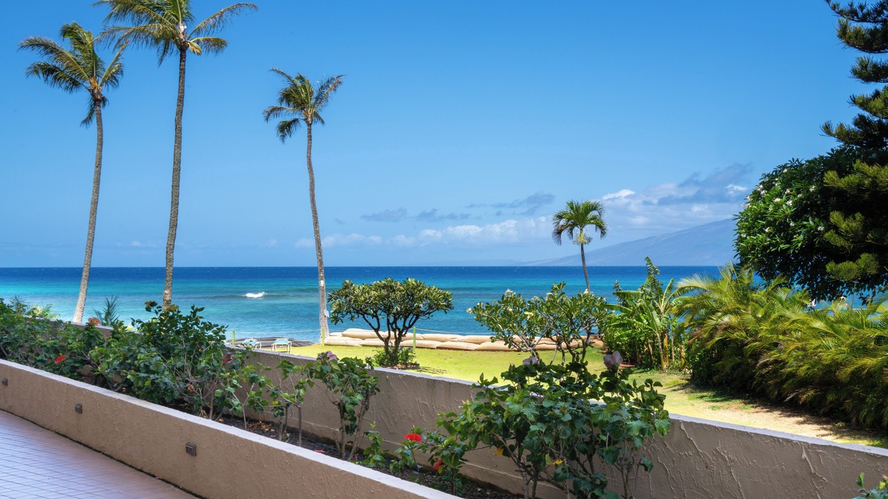 Photo of Outdoor in Kahana