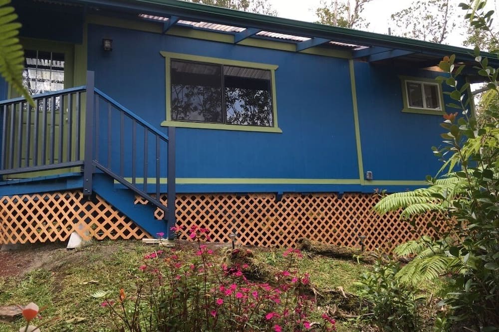 Photo of Outdoor in Fern Forest