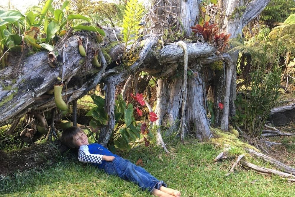 Photo of Outdoor in Fern Forest