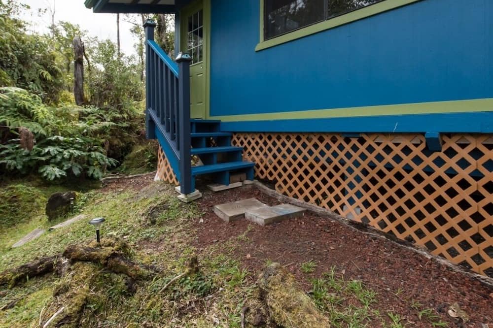 Photo of Outdoor in Fern Forest
