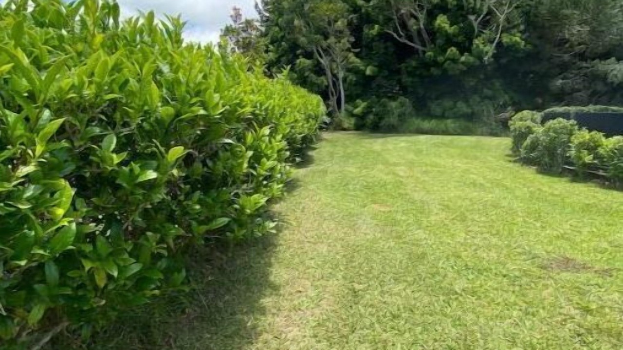 Photo of Outdoor in Volcano