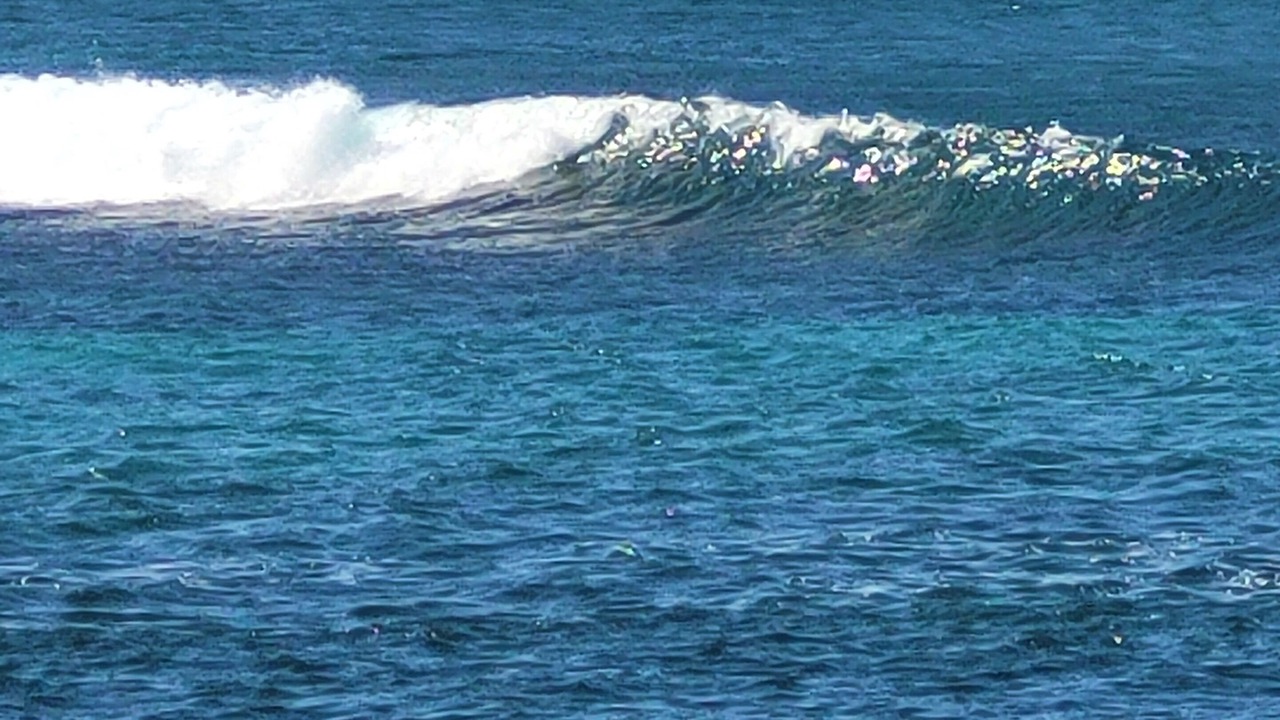 Photo of Others in Waialee