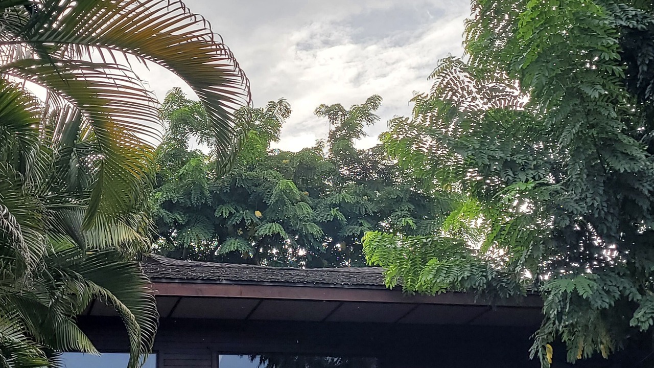 Photo of Outdoor in Waialee