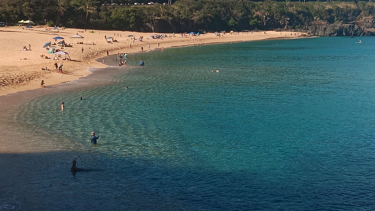 Photo of Others in Waialee