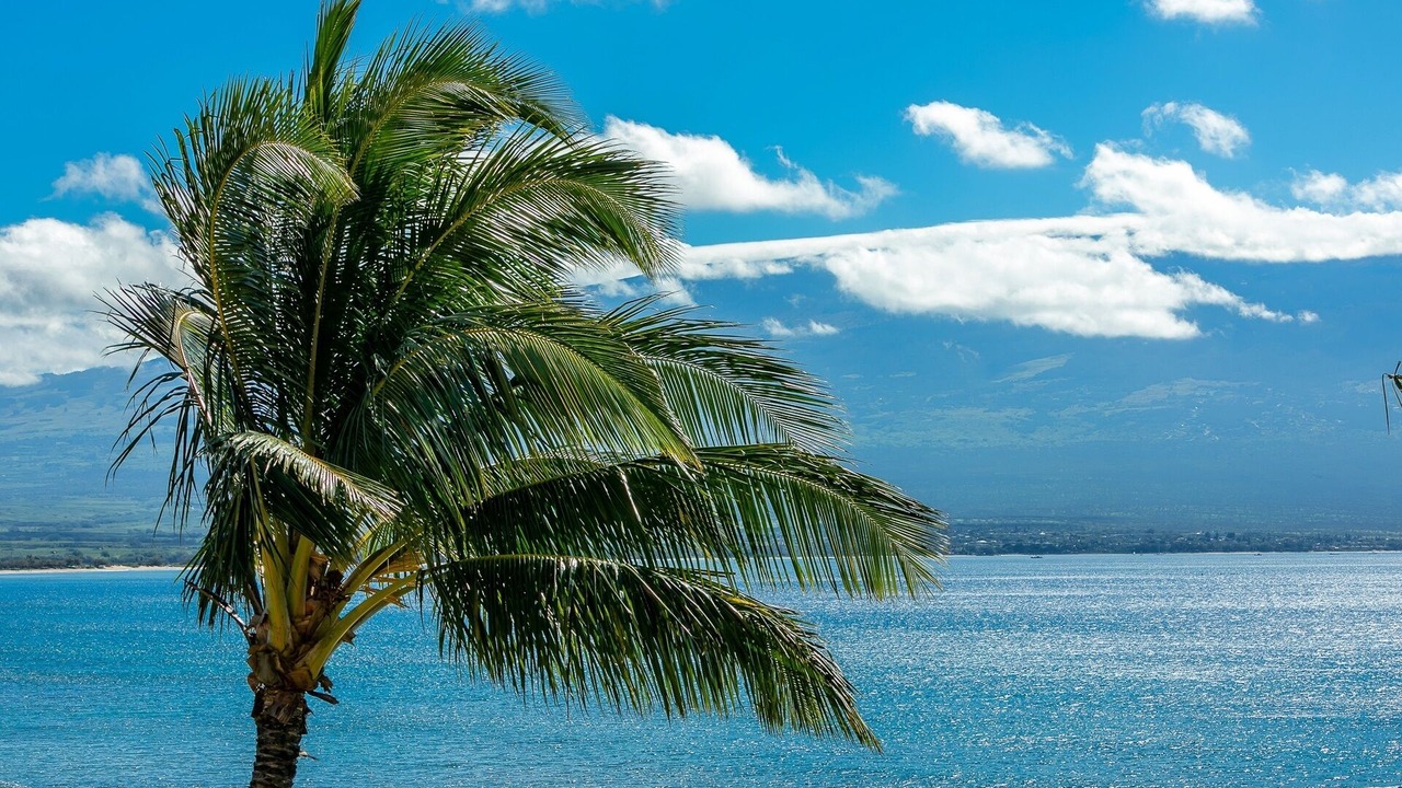 Photo of Others in Maalaea