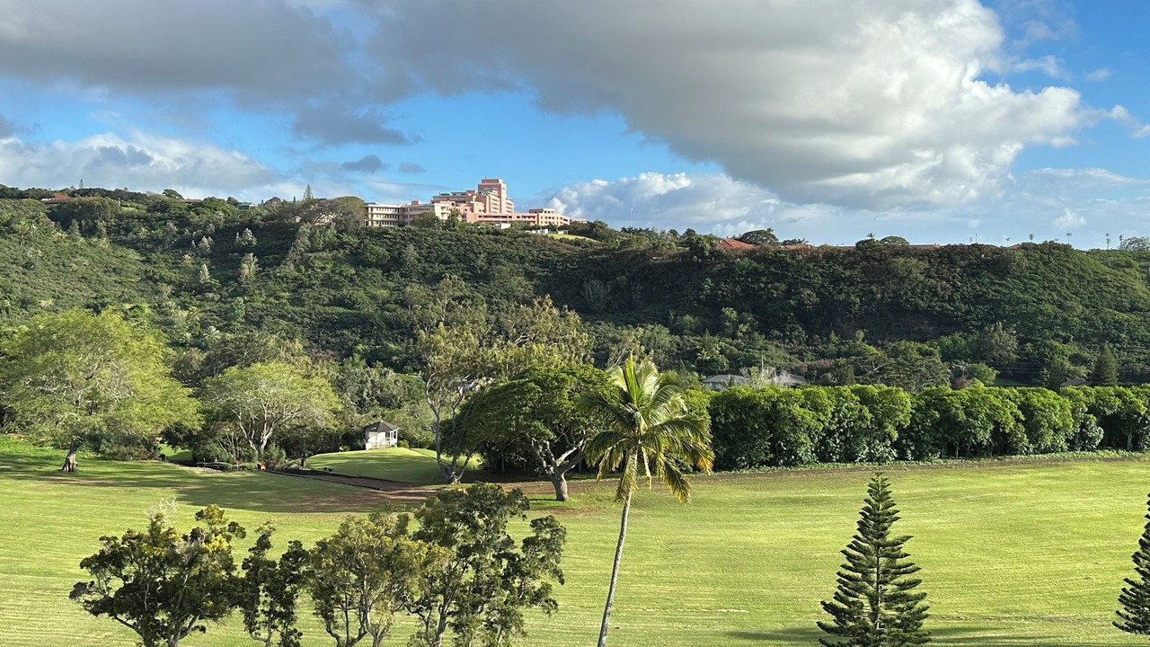 Photo of Others in Moanalua