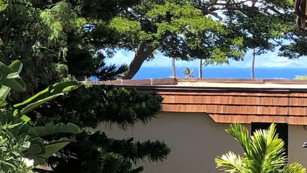 Photo of Outdoor in Napili