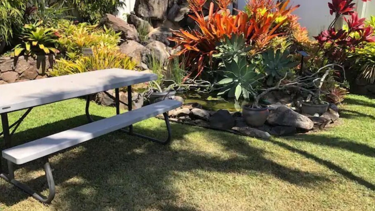 Photo of Outdoor in Napili