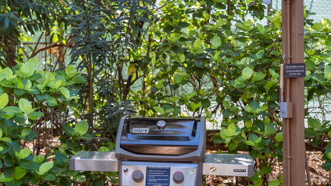 Photo of Outdoor in Wailea