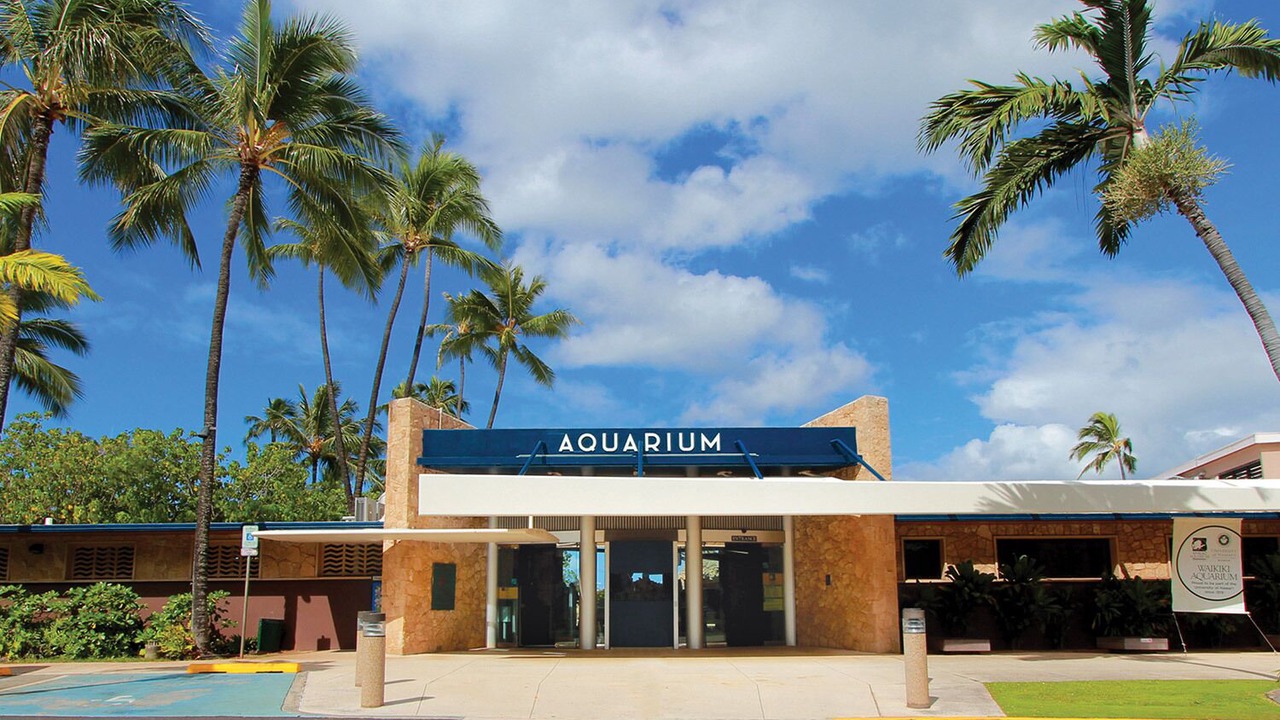 Photo of Outdoor in Diamond Head - Kapahulu - St. Louis