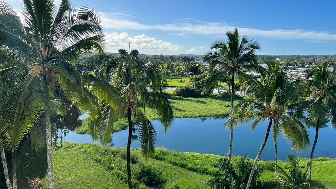 Photo of Outdoor in Hilo