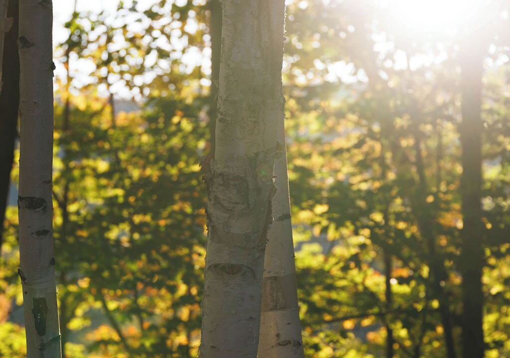 Photo of Others in Killington