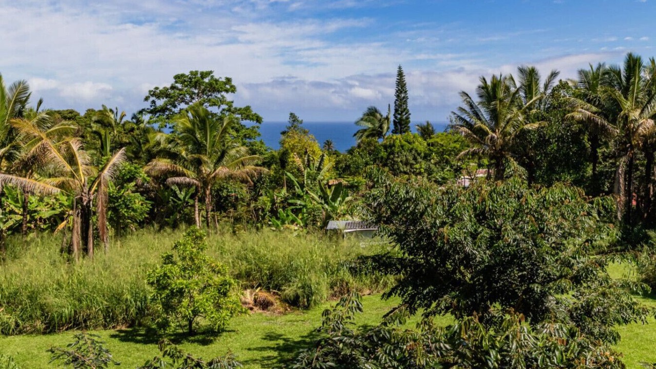 Photo of Outdoor in Honomu